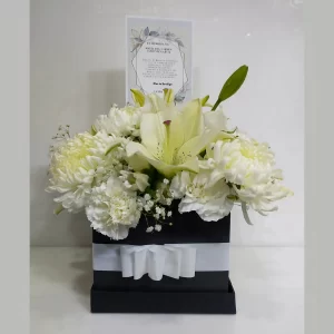 Delicadeza