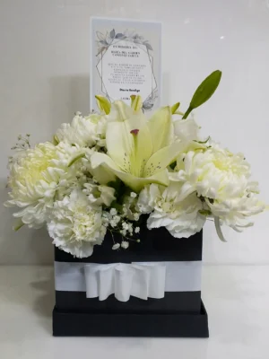 Delicadeza