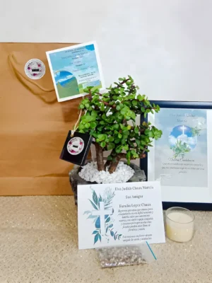 Bono de Condolencias – Bonsai