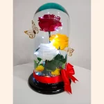 Lindura — miniatura 2