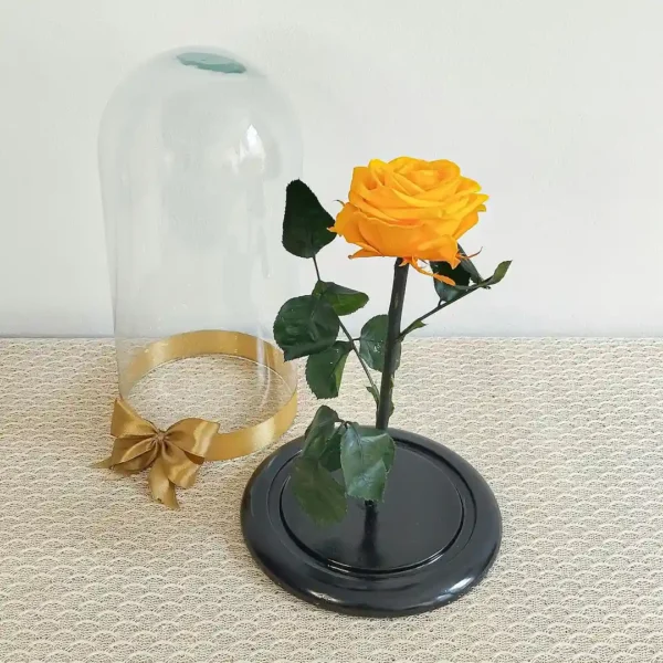 Rose Printanier