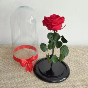 La Rose