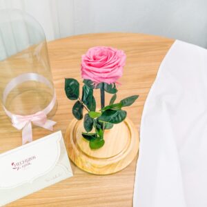 Vie Rose