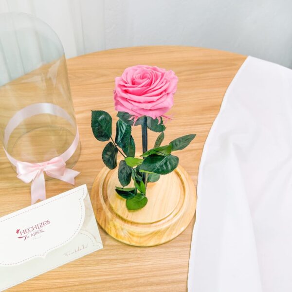 Vie Rose